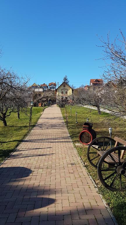 Villa Nora Hévíz المظهر الخارجي الصورة